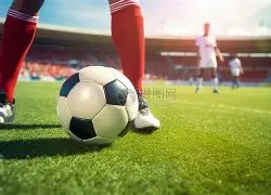 国乒冬季强,化训练备战,新赛季,太阳城,太阳城娱乐,太阳城app,太阳城赌场