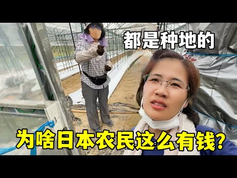 周日,意甲前瞻,佛罗伦萨对,太阳城,太阳城娱乐,太阳城app,太阳城赌场